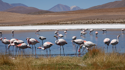 Tanzania – Serengeti & Ngorongoro Crater